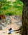 Discovering the Roots of Your Prosperity (Exercise)